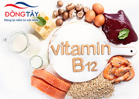 Bo-sung-thuc-pham-giau-vitamin-B12-khi-su-dung-Metformin