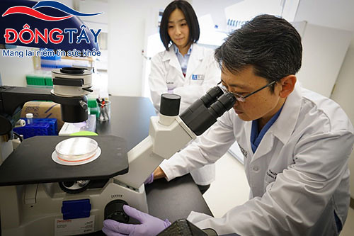 Các nhà khoa học Nhật Bản đang nghiên cứu liệu pháp tế bào gốc để điều trị Parkinson